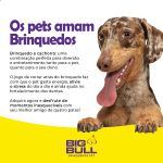 Bola Futebol Americano Brinquedo Porte Médio - Big Bull Pet