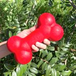 Osso Porte Grande - Big Bull Pet