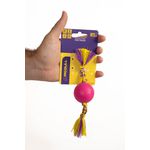 Dental Bone Bola Lisa 45mm - Big Bull Pet 