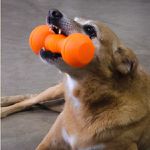 Halter Brinquedo Porte Médio - Big Bull Pet