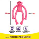 Macaquinho Brinquedo Porte Pequeno - Big Bull Pet