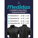 Camiseta F1 Gola Polo Sponsorships Williams 2025