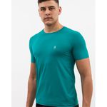 Camiseta Masculina Básica - Verde