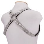 Harness H Shine Paillette