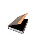 Livro Caixa Louis Vuitton Pequeno