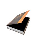 Livro Caixa Louis Vuitton Grande