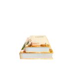 Dupla Livro Caixa Clean