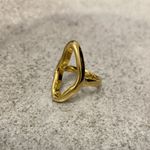 Anel Orgânico Minimalista