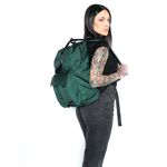 Pak verde 