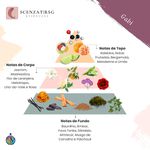 ESSENCIA GABI (GRAZIELA) FEMININO NACIONAL 100ML