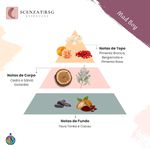 ESSENCIA MAD BOY PREMIUM 100ML