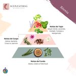 ESSENCIA BOSNIA PREMIUM SCENZAT RSG 100ML