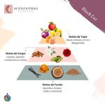 ESSENCIA BLACK CAR PREMIUM SCENZAT 100ml