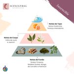 ESSENCIA INVENCIBLE PREMIUM SCENZAT RSG 100ML