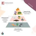 ESSENCIA CARREIRA MASC PREMIUM SCENZAT RSG 100ML