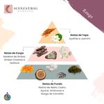 ESSENCIA ROUGE PREMIUM SCENZAT RSG 100ML