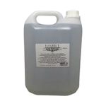 BASE PARA AROMATIZADOR E PERFUMARIA ELEGANCE 5 LITROS