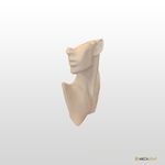 ESCULTURA FACE 