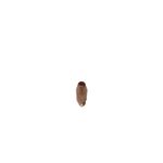 BICO CONTATO M6 28 - 0,9MM MA011 - OXIMIG