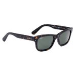 Ray Ban Rb 228/3 Mr Burbank 902/31 55