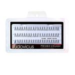 Eyelashes Flare Short- Ludovicus Premier