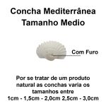 Conchas Marinha Mediterrânea Natural Branca C/ Furo 500un.