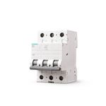 Disjuntor Tripolar 50A 5SL - 1350-7MB (C) - SIEMENS