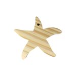 Pingente Estrela Do Mar 14x12cm
