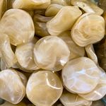RESINAS NUDES - 30 GRAMAS