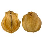 Boca de Sapo c/ furo para Pingente - 1 unidade