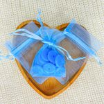 Sacos de Organza 6X9mm - 10 UNIDADES