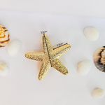 Passador Estrela do Mar Dourada - 1 unidade