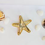 Passador Estrela do Mar Dourada - 1 unidade
