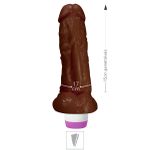 Prótese 15x17cm Com Vibro e Escroto (ADAO19) - Marrom