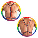 Harness Peitoral -(GS101708) - Colorido