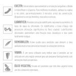 *Bolinha Funcional Pulse 2un (ST637 ) - Eletrizante