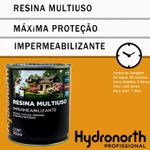 RESINA HYDRONORTH MULTIUSO SOLVENTE INCOLOR BRILHANTE 900ML