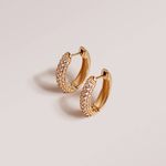 Brinco de Argola com Brilhantes em Ouro 18K 