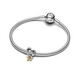 Charm Pandora Coração e Estrela em Dois Tons 