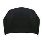 CAPO DO RENAULT CLIO 2003 A 2009 - ZITO