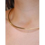 Colar aro liso