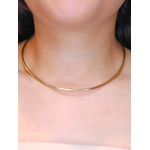 Colar aro liso