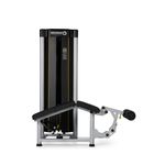 Mesa Flexora