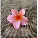 PIRANHA FLOR - TOM DE SALMÃO COM LARANJA 