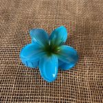 PIRANHA FLOR - TOM DE AZUL 