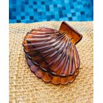 PIRANHA DE CABELO - CONCHA - TRANSPARÊNCIA COM MARROM 