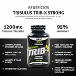 Strong Trib-X Tribulus Terrestris 1200mg 95% Saponins 100 Tablets NBF Nutrition