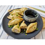 GUIOZA MASSA FINA ( TAICH ) C 20 UNIDADES (PCT)