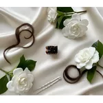 Prendedor Tartaruga Médio 4,5 X 3,0 Cm 