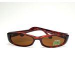 Óculos De Sol Feminino de Acetato Musa Kalliopi